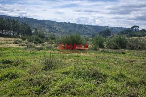 Terreno Para Construção  Venda em Fragosela,Viseu