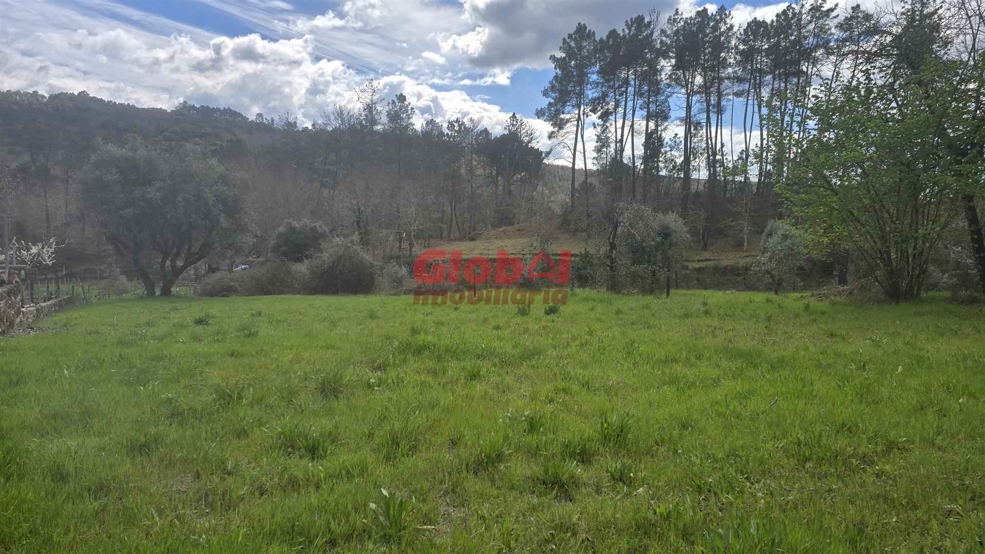 Terreno Para Construção, Viseu, Viseu, Santos Evos