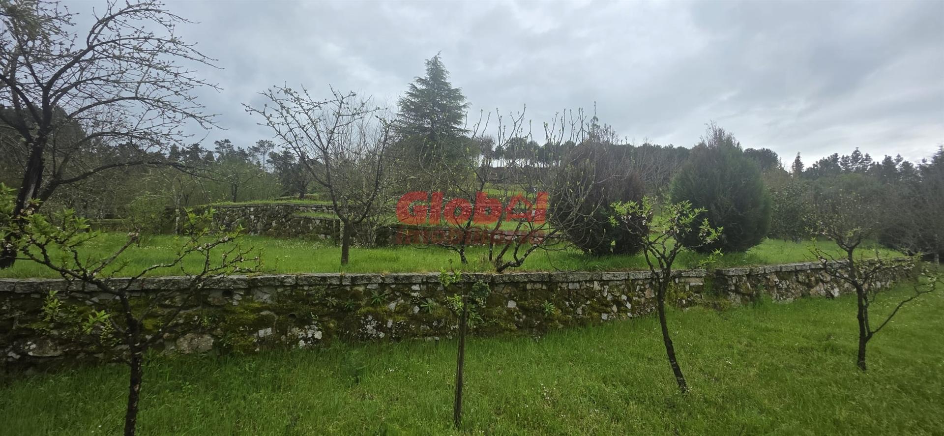 Quinta  Venda em Fornos de Maceira Dão,Mangualde