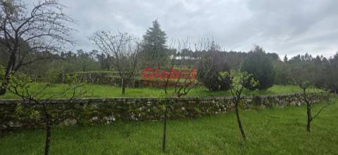 Quinta  Venda em Fornos de Maceira Dão,Mangualde