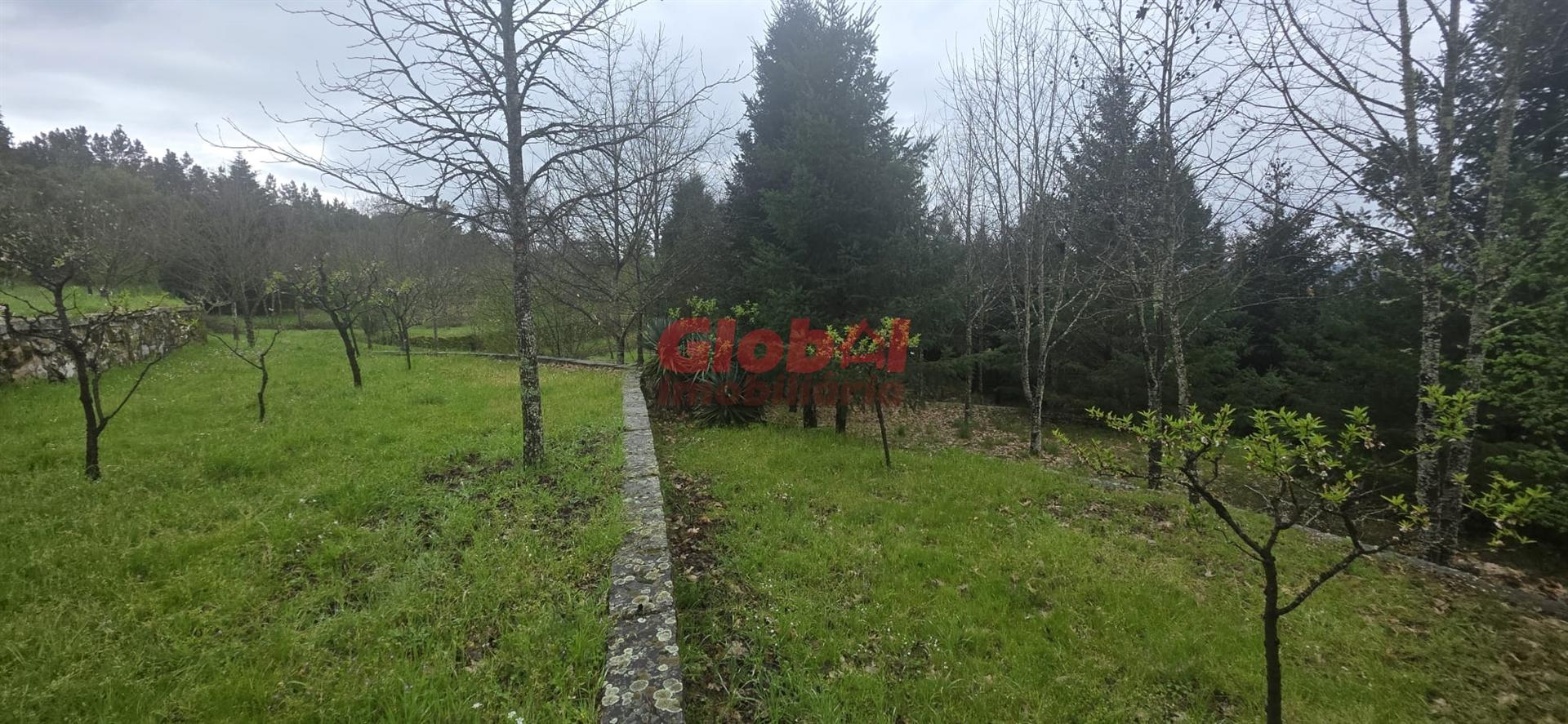 Quinta  Venda em Fornos de Maceira Dão,Mangualde