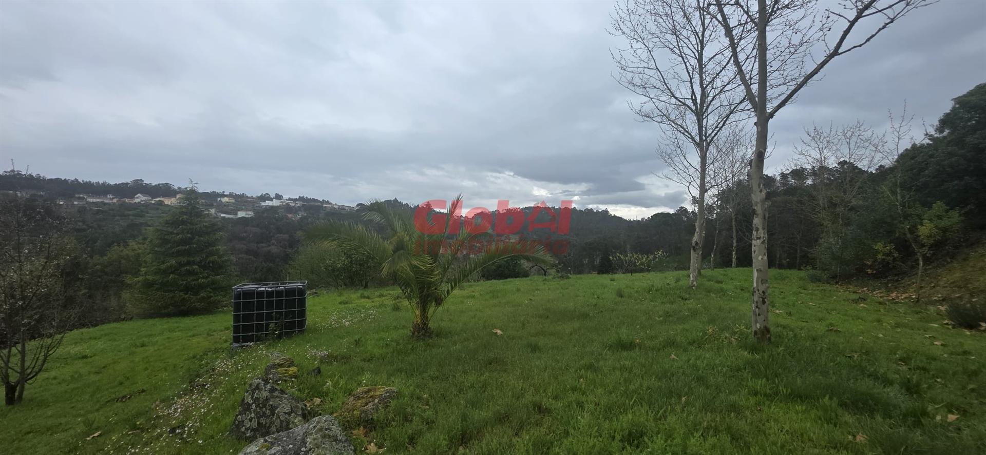 Quinta  Venda em Fornos de Maceira Dão,Mangualde