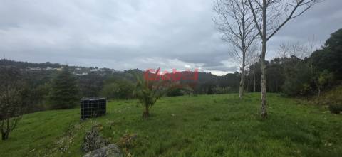 Quinta  Venda em Fornos de Maceira Dão,Mangualde