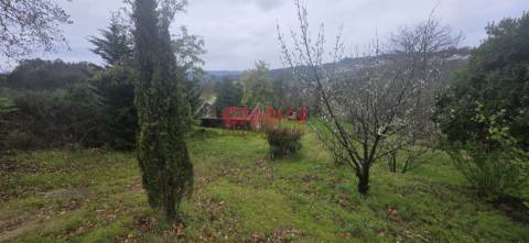 Quinta  Venda em Fornos de Maceira Dão,Mangualde