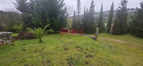 Quinta  Venda em Fornos de Maceira Dão,Mangualde
