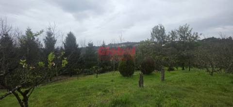 Quinta  Venda em Fornos de Maceira Dão,Mangualde