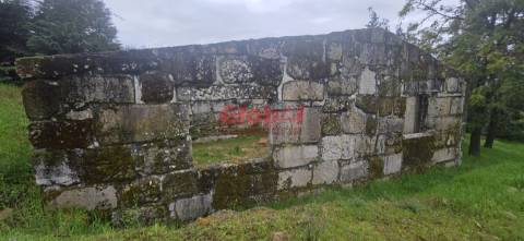 Quinta  Venda em Fornos de Maceira Dão,Mangualde