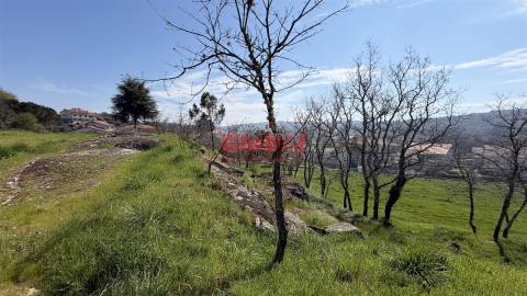 Terreno Para Construção  Venda em Quintela de Azurara,Mangualde