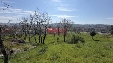 Terreno Para Construção  Venda em Quintela de Azurara,Mangualde