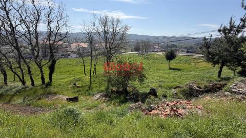 Terreno Para Construção  Venda em Quintela de Azurara,Mangualde