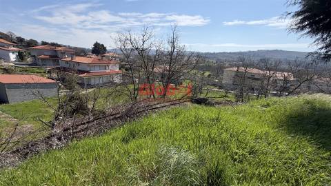 Terreno Para Construção  Venda em Quintela de Azurara,Mangualde