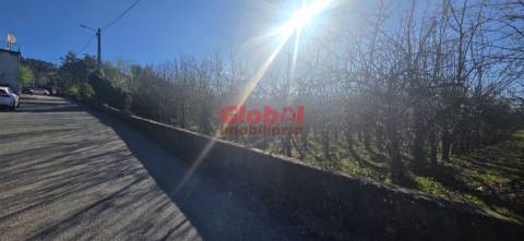 Terreno Para Construção  Venda em Castelo de Penalva,Penalva do Castelo