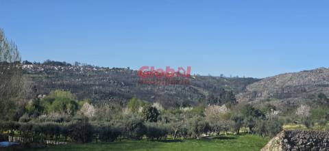 Terreno Para Construção  Venda em Castelo de Penalva,Penalva do Castelo