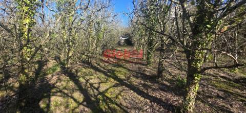 Terreno Para Construção  Venda em Castelo de Penalva,Penalva do Castelo