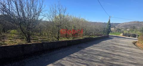 Terreno Para Construção  Venda em Castelo de Penalva,Penalva do Castelo