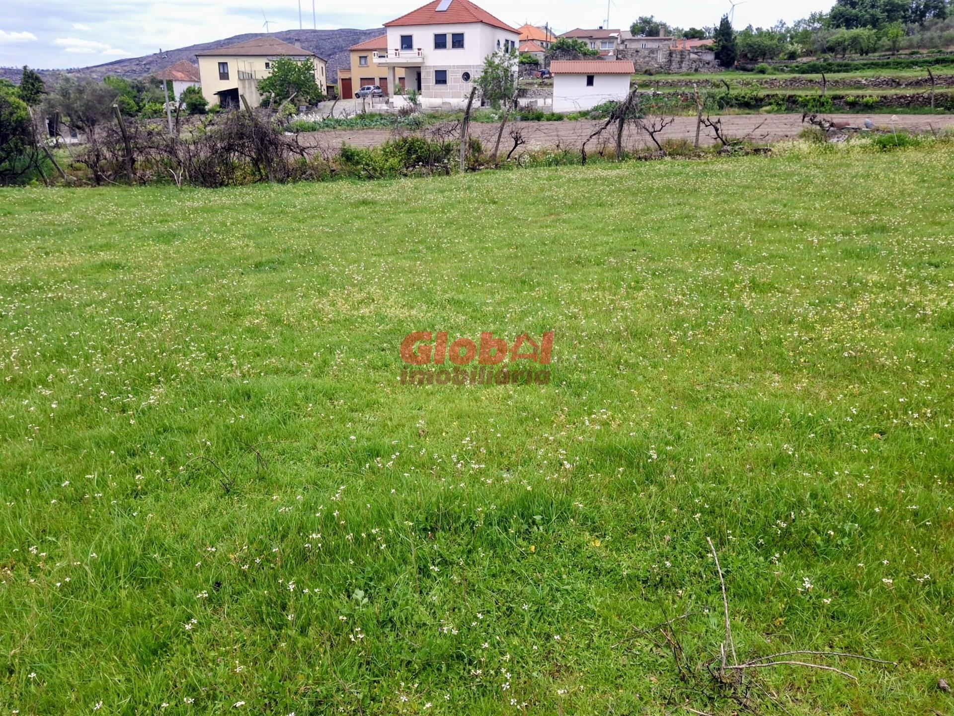 Terreno  Venda em Arnas,Sernancelhe