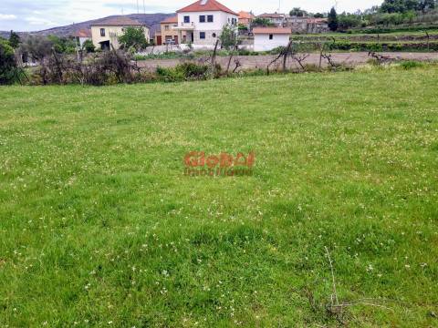 Terreno  Venda em Arnas,Sernancelhe