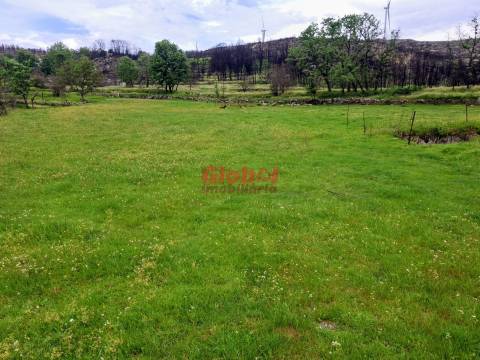 Terreno  Venda em Arnas,Sernancelhe