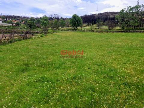 Terreno  Venda em Arnas,Sernancelhe