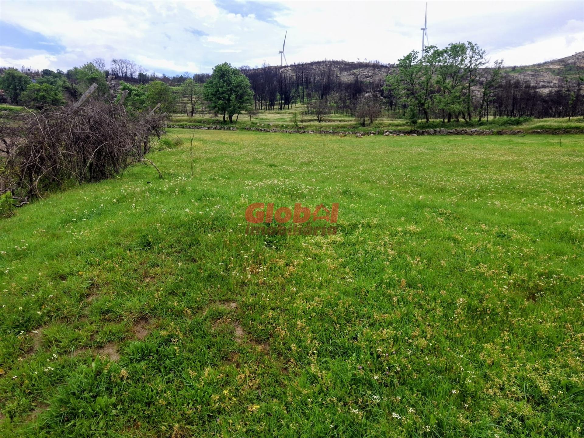 Terreno  Venda em Arnas,Sernancelhe