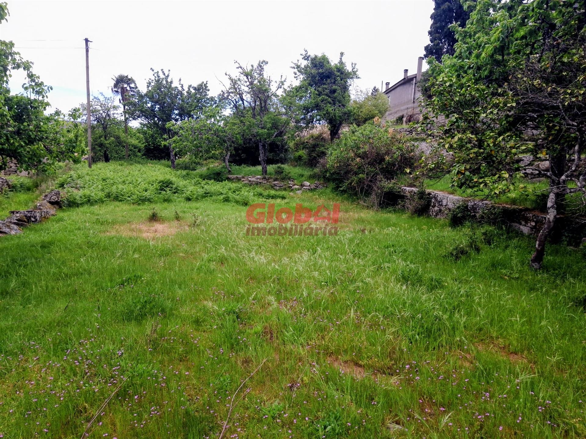 Terreno  Venda em Arnas,Sernancelhe