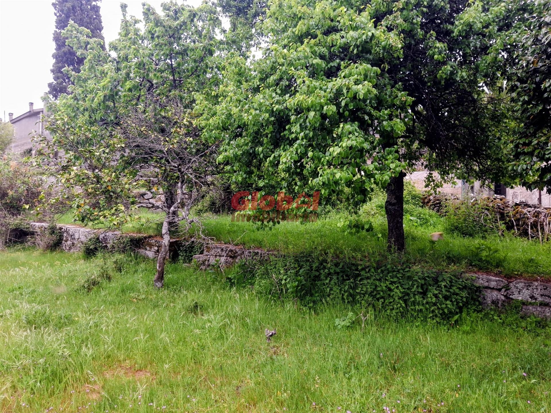 Terreno  Venda em Arnas,Sernancelhe
