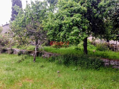 Terreno  Venda em Arnas,Sernancelhe