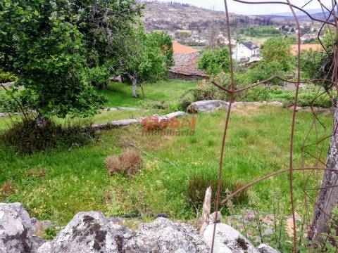 Terreno  Venda em Arnas,Sernancelhe