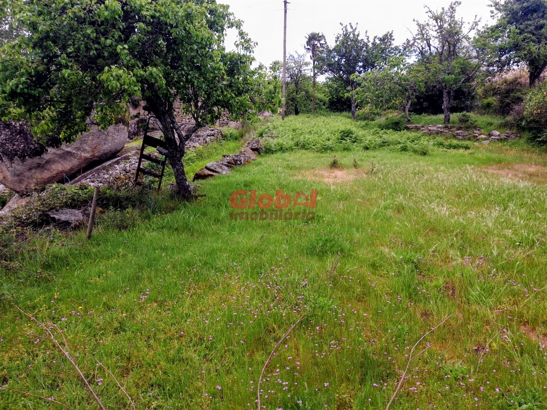 Terreno  Venda em Arnas,Sernancelhe