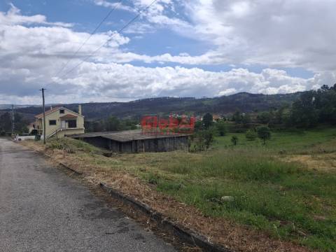 Moradia para Restaurar  Venda em Caria,Moimenta da Beira