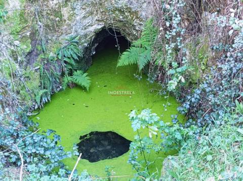 Quintinha  Venda em Seia, São Romão e Lapa dos Dinheiros,Seia