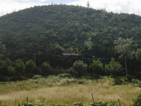 Quinta Sandomil - 30.340m2