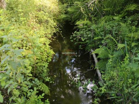 Quinta Sandomil - 30.340m2