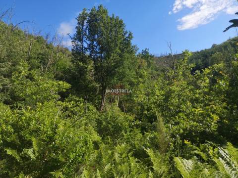 Quinta Sandomil - 30.340m2