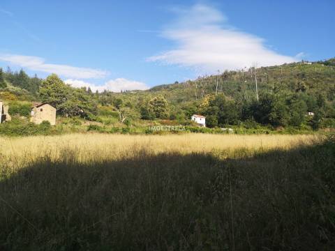 Quinta Sandomil - 30.340m2