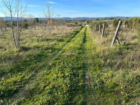 Quinta  Venda em Vila Cortês da Serra,Gouveia