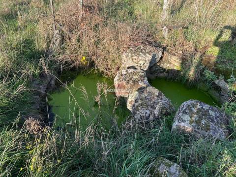 Quinta  Venda em Vila Cortês da Serra,Gouveia