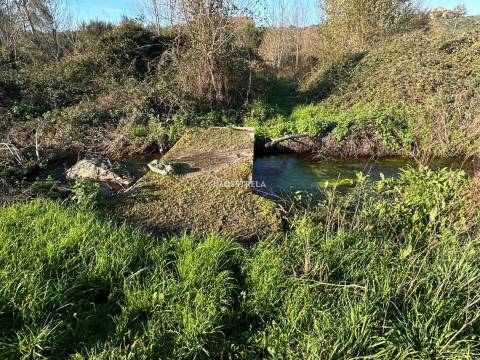 Quinta  Venda em Vila Cortês da Serra,Gouveia