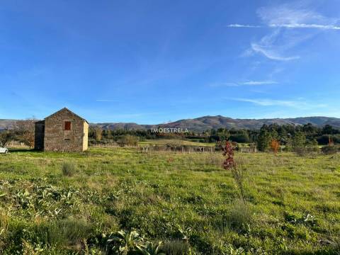 Quinta  Venda em Vila Cortês da Serra,Gouveia