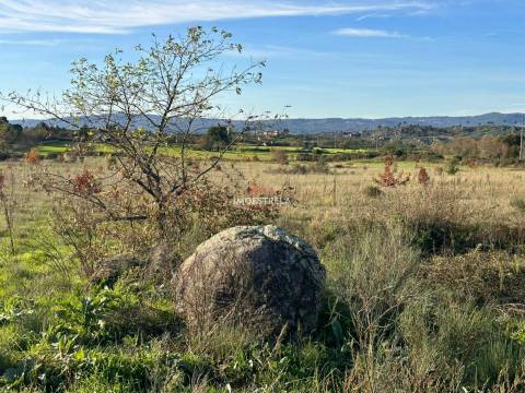 Quinta  Venda em Vila Cortês da Serra,Gouveia