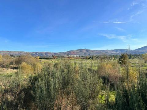 Quinta  Venda em Vila Cortês da Serra,Gouveia