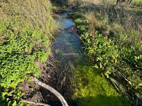 Quinta  Venda em Vila Cortês da Serra,Gouveia