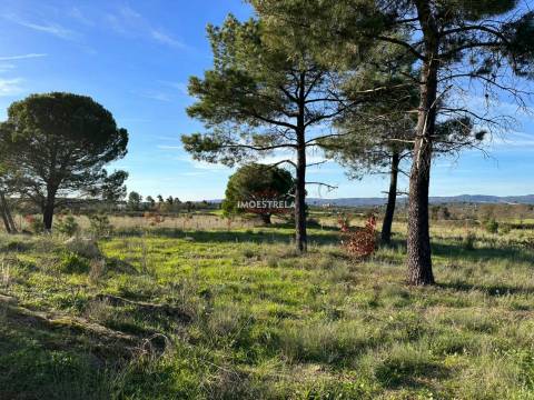 Quinta  Venda em Vila Cortês da Serra,Gouveia