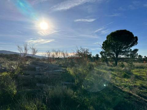 Quinta  Venda em Vila Cortês da Serra,Gouveia