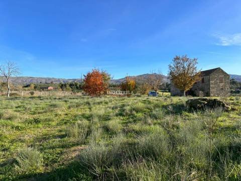 Quinta  Venda em Vila Cortês da Serra,Gouveia