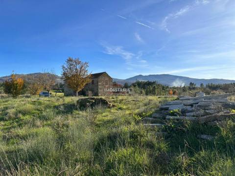 Quinta  Venda em Vila Cortês da Serra,Gouveia