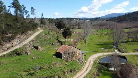 Quinta  Venda em Meruge,Oliveira do Hospital