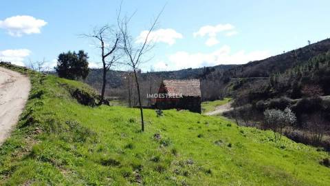 Quinta  Venda em Meruge,Oliveira do Hospital