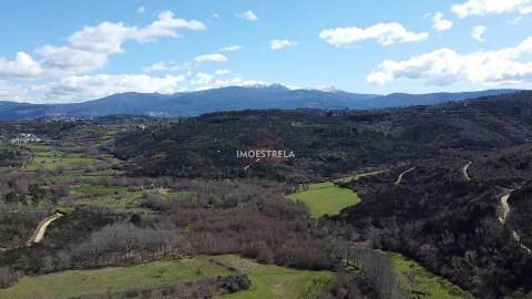 Quinta  Venda em Meruge,Oliveira do Hospital