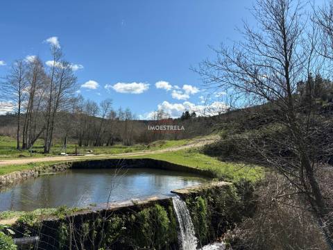 Quinta  Venda em Meruge,Oliveira do Hospital